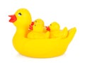 Rubber duck family Royalty Free Stock Photo