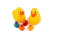 Rubber duck family stock images Royalty Free Stock Photo