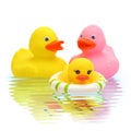 Rubber duck family Royalty Free Stock Photo