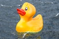 Rubber duck float in the sea, 3D Royalty Free Stock Photo