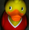 Rubber Duck