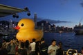 Rubber Duck IN HK