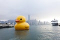 Rubber Duck in Hong Kong