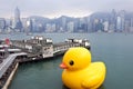 Rubber Duck in Hong Kong