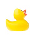 Rubber duck isolated
