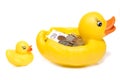 Rubber duck with money