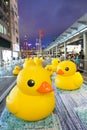 Rubber Duck Project in Hong Kong