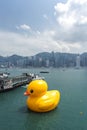 Rubber Duck Project, Hong Kong Royalty Free Stock Photo