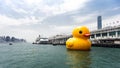 Rubber Duck Project, Hong Kong Royalty Free Stock Photo