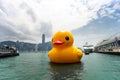 Rubber Duck Project, Hong Kong Royalty Free Stock Photo