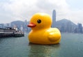 Rubber Duck Project, Hong Kong Royalty Free Stock Photo