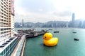 Rubber Duck Project, Hong Kong Royalty Free Stock Photo