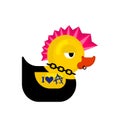 Rubber duck punk. Duck toy punker. yellow punky