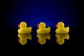 Rubber Duck Row with Reflection 2 Royalty Free Stock Photo