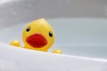 Rubber Duck in Sink Royalty Free Stock Photo