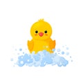 Rubber duck in soap foam with bubbles isolated in white background. Front view of yellow plastic duckling toy in suds Royalty Free Stock Photo