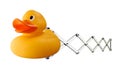 Rubber duck on spring mechanism