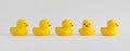 Rubber duck stands out from the crowd. Diversity, individuality, difference, minority or independence in business