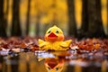 a rubber duck surrounded by autumn leaves in a puddle