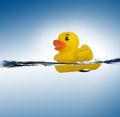 Rubber duck in water