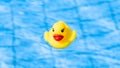 Rubber duck water. Funny kids inflatable toy float in blue water of summer pool. Float party minimal concept