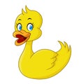 Rubber Duck Yellow Color
