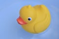 Rubber duck Royalty Free Stock Photo