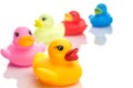 Rubber Duck. Yellow Plastic Toy For Bathroom. Ducky Background
