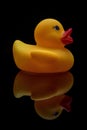 Yellow Duck Toy