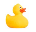 Rubber duck yellow toy for swimming isolated on white