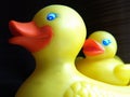 Rubber duckie Royalty Free Stock Photo