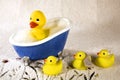 Rubber Duckies Royalty Free Stock Photo