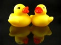 Rubber Duckies