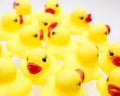 Rubber Duckies Royalty Free Stock Photo