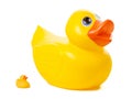 Rubber Duckies - Large vs Small