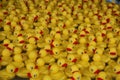 Rubber Duckies Royalty Free Stock Photo