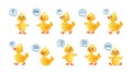 Rubber duckling. Doodle shower ducks. Yellow chicken with speech bubble. Beautiful soap image. Baby logo. Web messenger