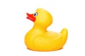 Rubber Duckling Royalty Free Stock Photo