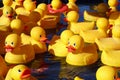 Rubber Ducks Royalty Free Stock Photo