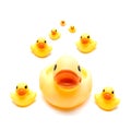 Rubber ducks Royalty Free Stock Photo