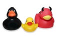 Rubber Ducks