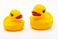 Rubber Ducks family , Yellow toy ducks on white background Royalty Free Stock Photo