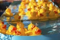 Rubber ducks at Hook a duck fairground attraction