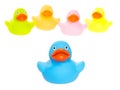 Rubber ducks isolated Royalty Free Stock Photo