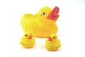 Rubber ducks isolated Royalty Free Stock Photo