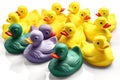 rubber ducks isolated on white background. Generated by AI Royalty Free Stock Photo