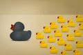 Rubber ducks in leadership concept on a yellow background Royalty Free Stock Photo