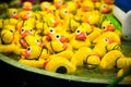 Rubber ducks