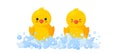 Rubber ducks in soap foam with bubbles isolated in white background. Front view of yellow plastic duckling toys in suds Royalty Free Stock Photo