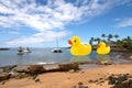 Rubber ducks on the water. Royalty Free Stock Photo